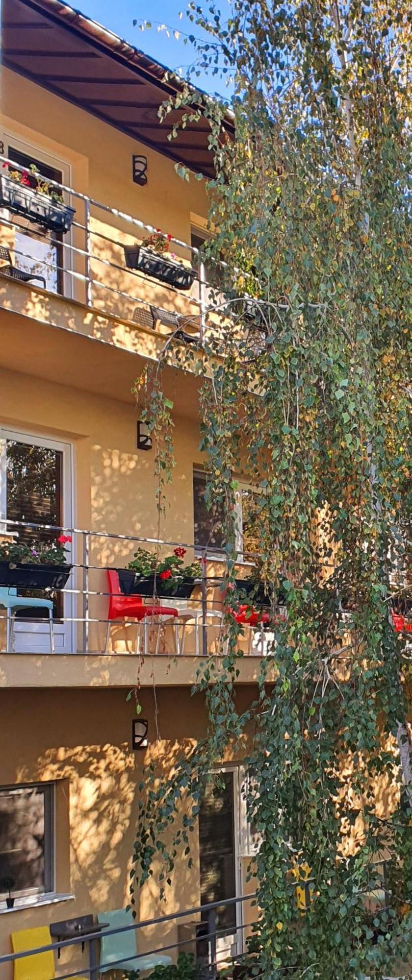 Vila Sia Bucharest Exterior photo